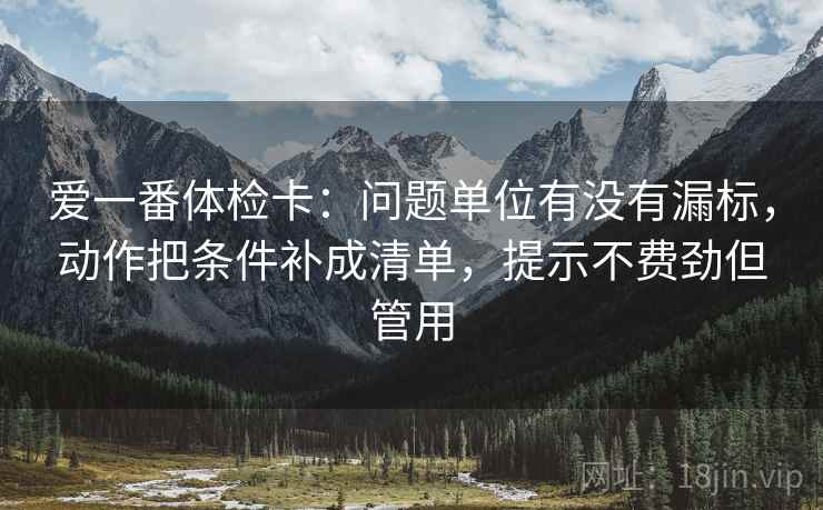 爱一番体检卡：问题单位有没有漏标，动作把条件补成清单，提示不费劲但管用